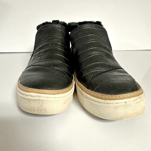 Toms Paxton Sneaker - Picture 6 of 9